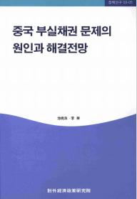 중국 부실채권 문제의 원인과 해결전망